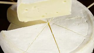 cheese recipes