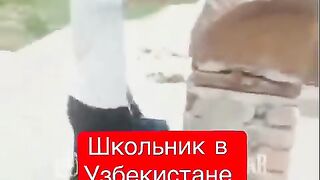 Ким танийди бу бе тарбияни