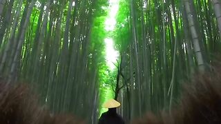 Japan beautifull places