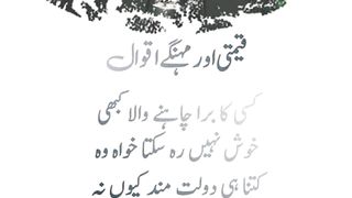 Best urdu Quotes 3
