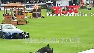 #horseshorts#beautiful#horse#shorts#wild#shorts#wild#animals#horses shortsbest#horse#shorts#youtube 2