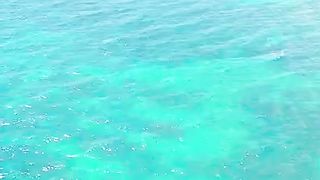 Amazing nature 5