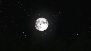 Бесстрашные_Битва за Мидуэй
