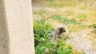 ТікТок 14
