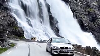Beautiful nature video