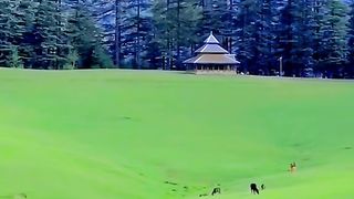 Nice video for enjoying