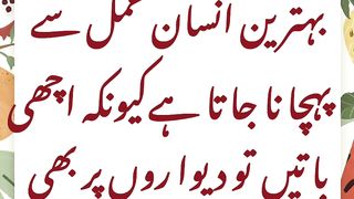 Bahetrin Insan Amal Se Pehchana Jata Hai. #World in focus #SyedAli