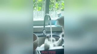 Funny Videos | Instant Regret | Fails Of The Week | Fail Compilation | Fails | RandomFails 10