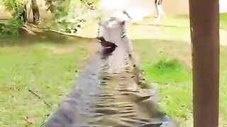 Funny compilation???????????? 2