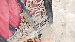 Funny Pet Video 2