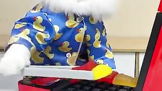 Funny videos 195