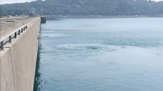 ss video 5