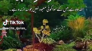 Exploring the Beauty and Significance of  Surahs"