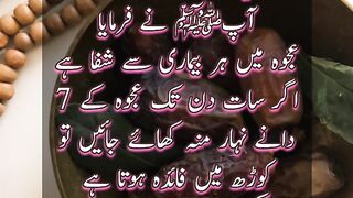 Ajwa Khajoor | Khajoor | Hadees