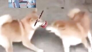 Smile while you still have teeth00