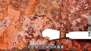 修复凶狠的破伤风宽斧赠送碳纤维手柄