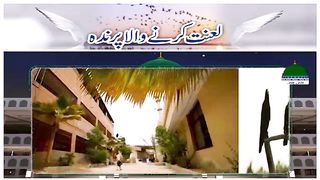 Lanat Karne Wala Parinda