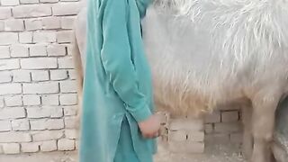 Funny video viral kamran