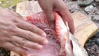 Delicious Campfire Smoked Salmon
