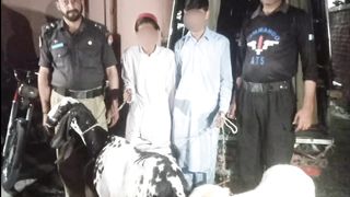 مویشی چور گرفتار  #shortvideo #shorts #hdnewskharian