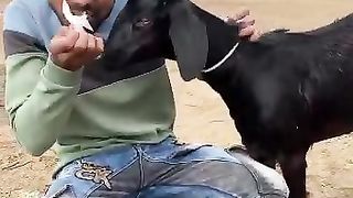 Funny Adds Video