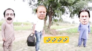 Funny videos 198