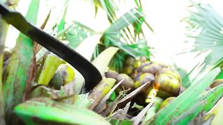 Top trending funny video????????