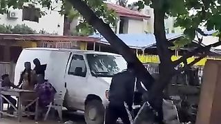 Money on the tree Prank