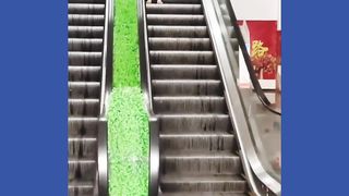 Funny Pets Video Compilation| Best Funiest Video 2023
