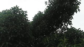 Cool weather in summer