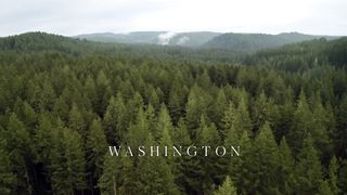 Meditate in Washington by Campfire Coffee