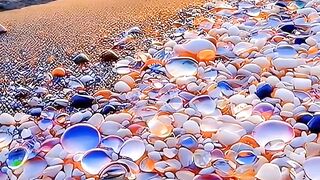 colorful natural beauty
