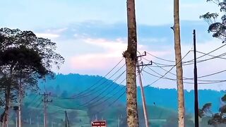 Beautiful nature of your day