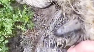 ТікТок 16