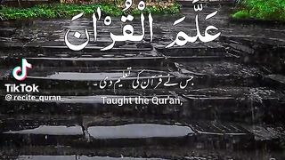 Exploring the Beauty and Significance of  Surahs" 2