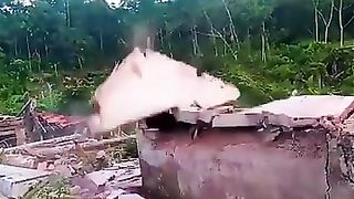funny video compilation 2023 - moments les plus drôles des travaux