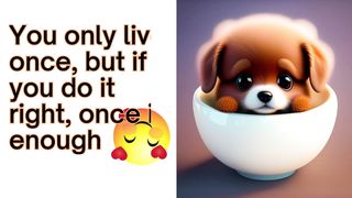 Funny happy inspirational QUOTES