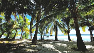 Most stunning beach ever