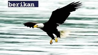 Apapun hasilnya hari ini semoga dilancarkan