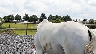 TRY NOT TO LAUGHING I Best Funny Videos Compilation 2023 # 248