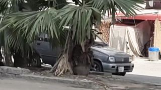 Niceeeeee video