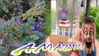 Nature-Inspired Bluetooth Speaker: Bringing the Outdoors to Your Music Experience