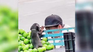 I can't hide the eyes I like
