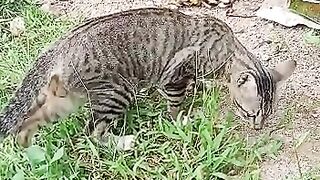 The young mama Hunter