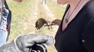 enterainment compilation 65