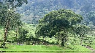 natural scenery in the village