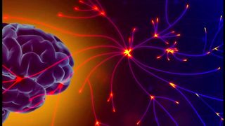 NeuroTonix Reviews: Is On Sale Now For A Limited Time!