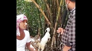 Comedy funny video ????????????????????????????????????