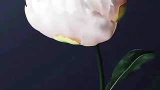 Beautiful video 28