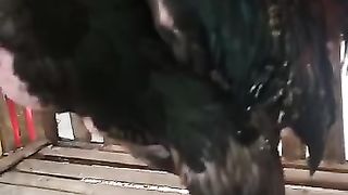 Bukan apa apa